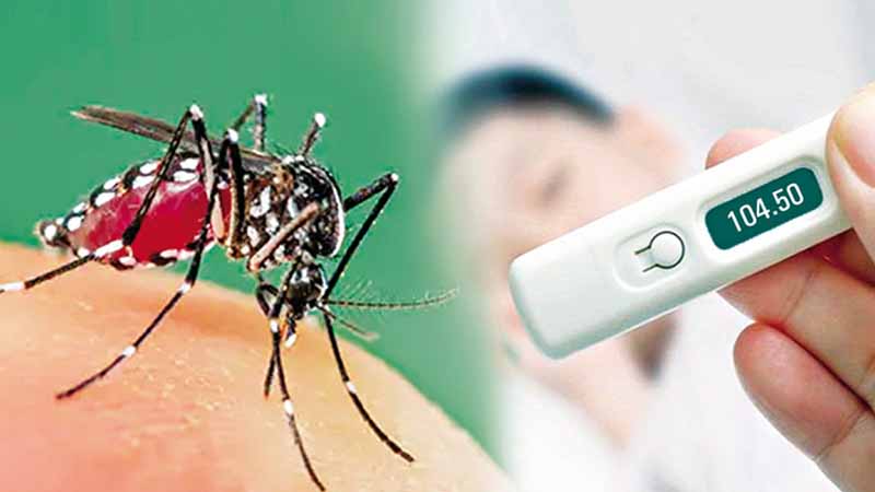 ডেঙ্গুতে ৯ জনের মৃত্যু, হাসপাতালে ভর্তি ১০৪২ জন