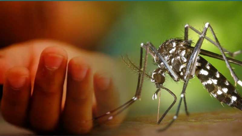 ২৪ ঘণ্টায় ডেঙ্গুতে আরো ১০ জনের মৃত্যু
