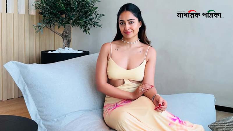 পর্ন সাইটে ভিডিও, বিপাকে অভিনেত্রী