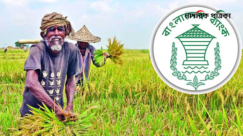 কৃষিঋণ বিতরণ বেড়েছে ২৯ শতাংশ
