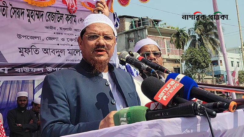 দাঁড়িপাল্লার এক পাল্লায় আমেরিকা, অপর পাল্লায় ভারত: চরমোনাই পীর