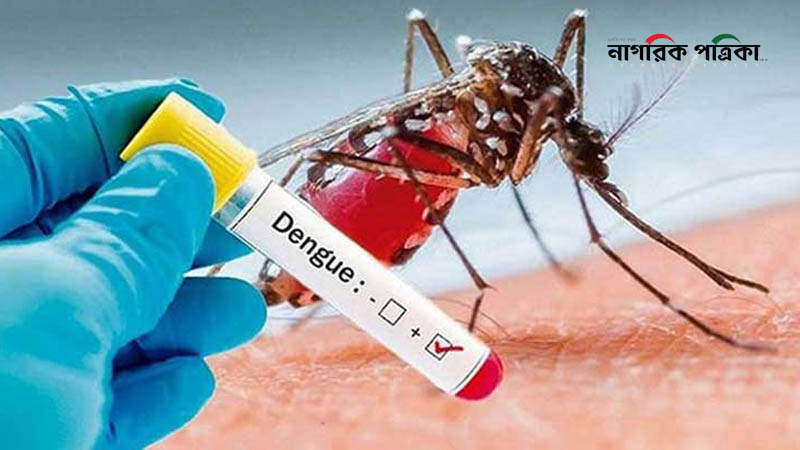 ডেঙ্গু পরিস্থিতি প্রায় নিয়ন্ত্রণের বাইরে: স্বাস্থ্য বিভাগ